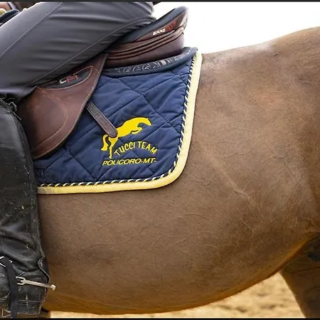 Don Pietro Vacanze 3*