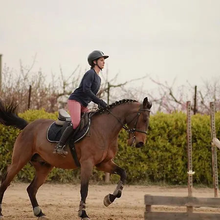 Don Pietro Vacanze Affittacamere Policoro